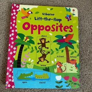 Usborne Lift-the-Flap Opposites Book